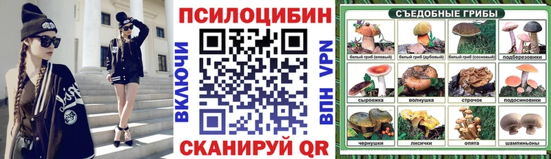 хочу наркоту  OMG ТОР  Псилоцибиновые грибы прущие грибы  Никольск 